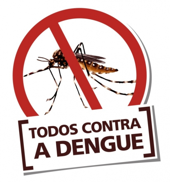Dengue em SC: Secretaria de Saúde lança manual com diretrizes para os serviços de saúde