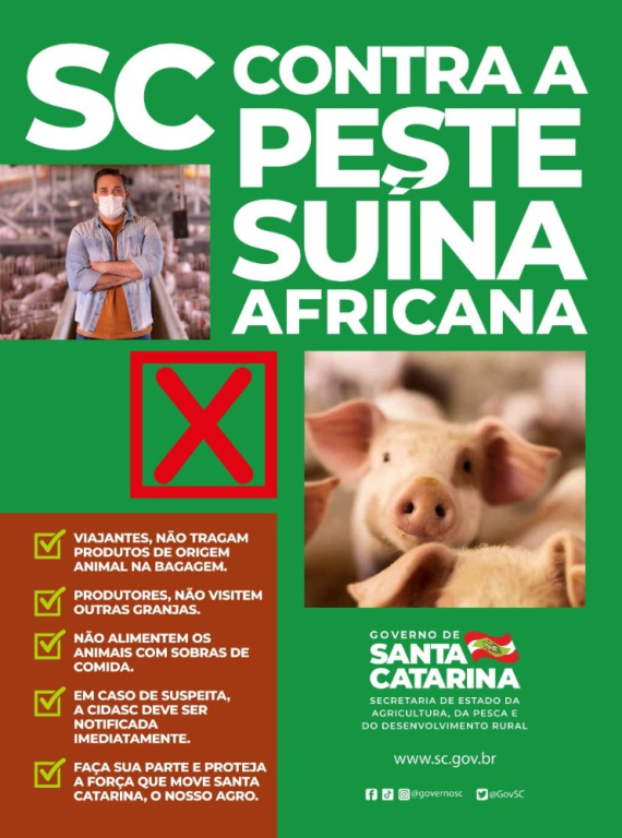 Santa Catarina lança campanha de prevenção contra a peste suína africana
