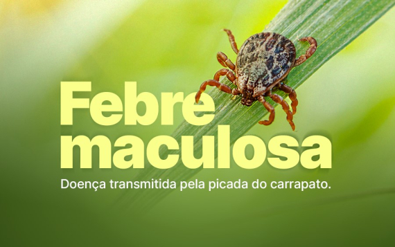 Por ASCOM | SES