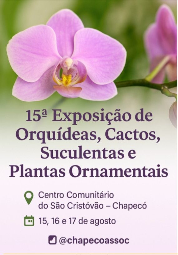 Prefeitura de Chapec