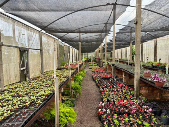 Prefeitura de Chapec�